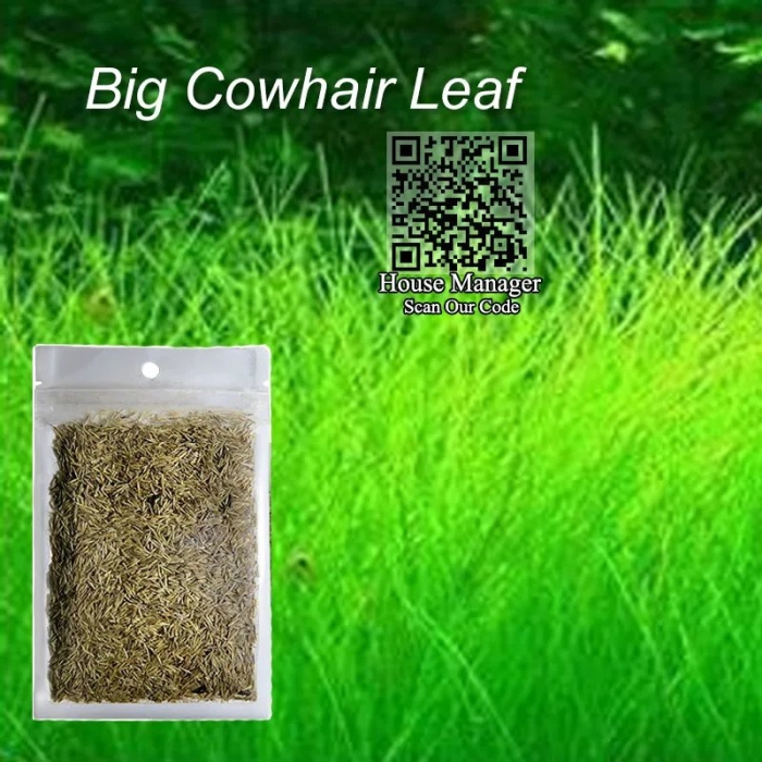 Трава для аквариума