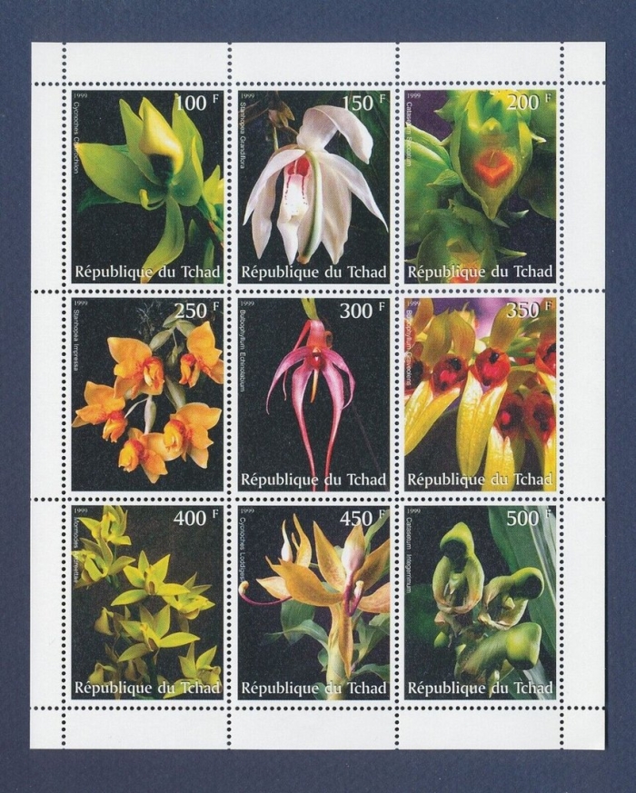 Почтовые марки с орхидеями