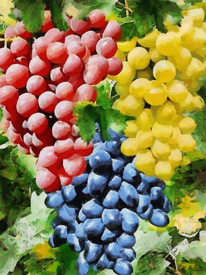 Виноград картина