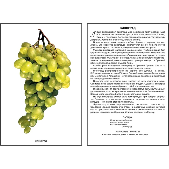 Загадка про виноград