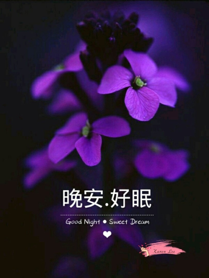 Good night and sweet dreams