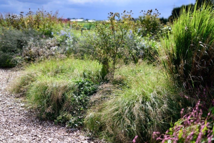 Пит удольф хуммело