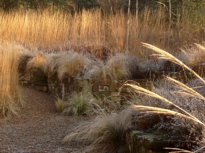 Пит удольф ландшафтный