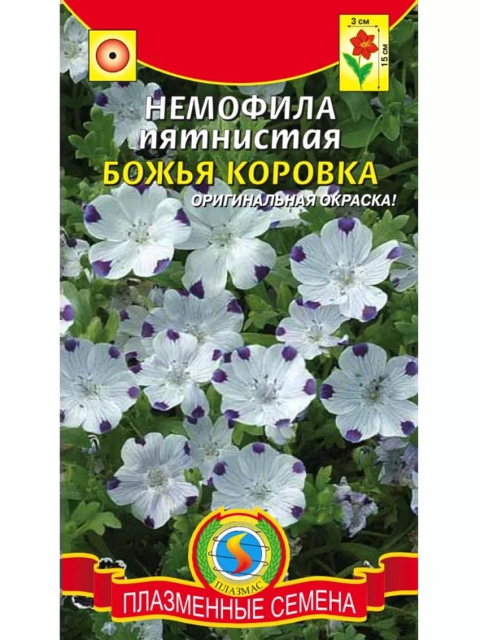 Немофила божья коровка