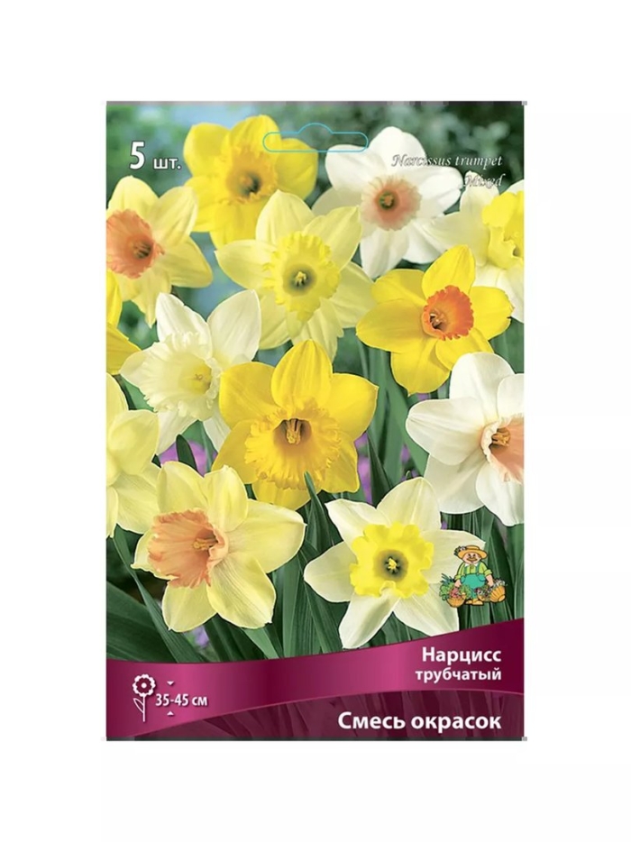 Нарцисс крупнокорончатый