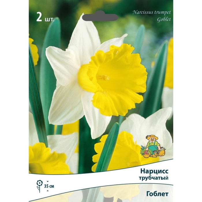 Нарцисс гоблет