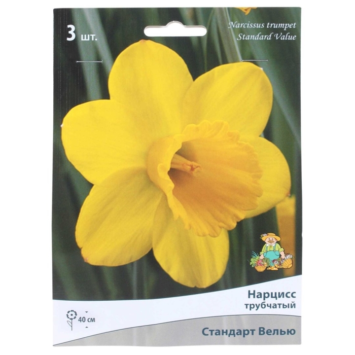 Нарцисс стандарт велью