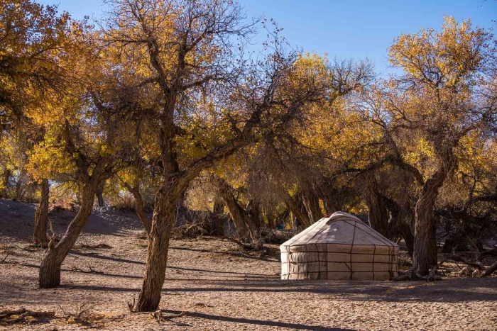 Юрта монголия