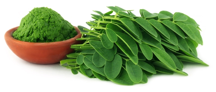 Moringa powder