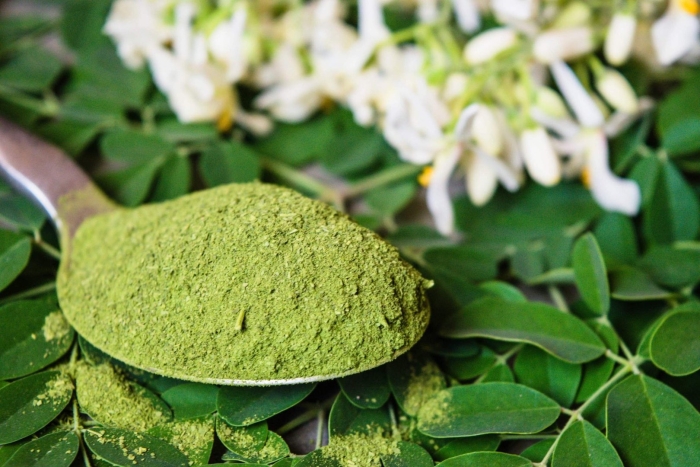 Moringa порошок