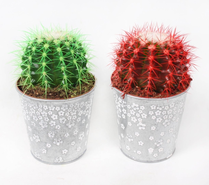 Горшки для кактусов
