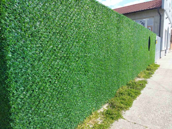 Зеленая изгородь