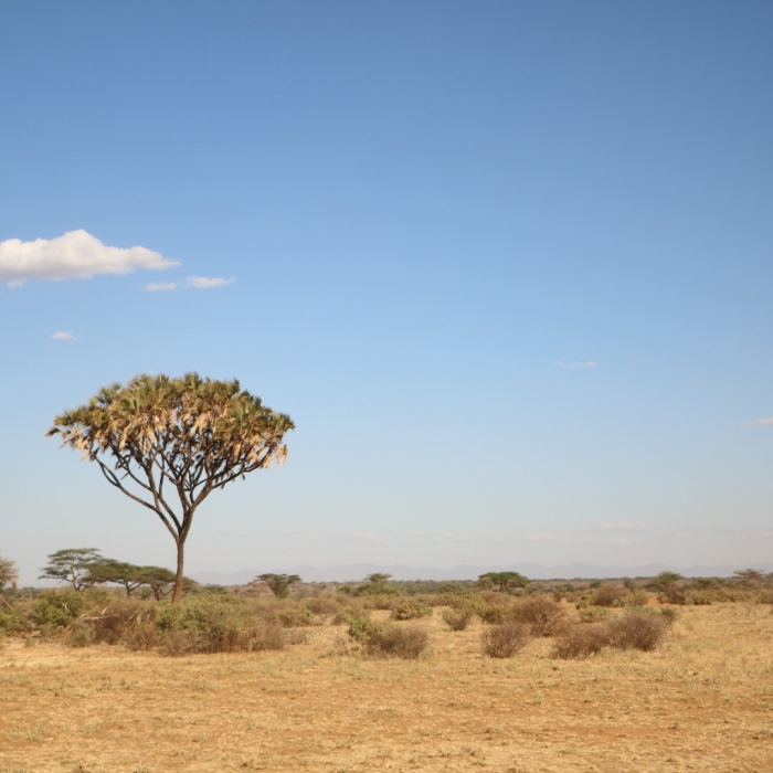 Природа африки