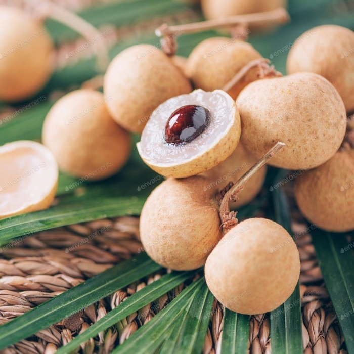 Димокарпус лонган