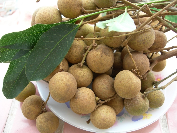 Тайские фрукты лонган