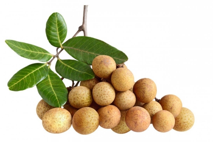 Longan fruit