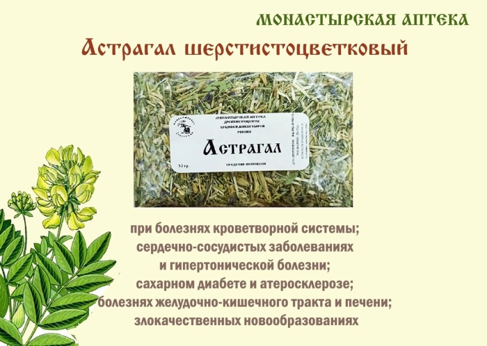 Астрагал трава