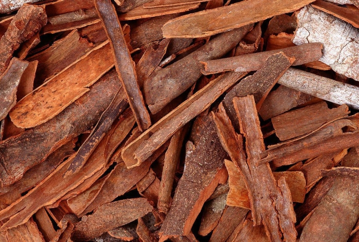 Дерево корица