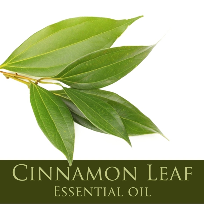 Cinnamon leaf oil