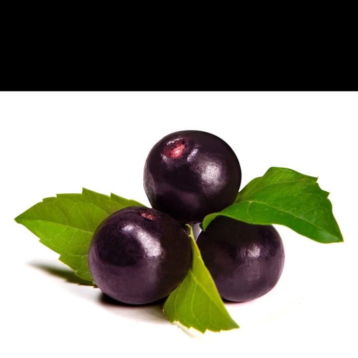 Черная смородина ягода