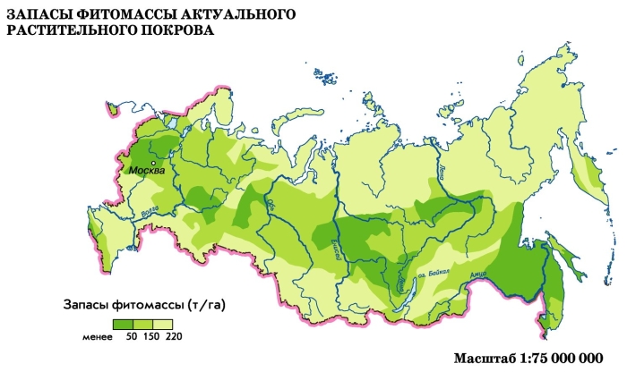Карта лесов рф
