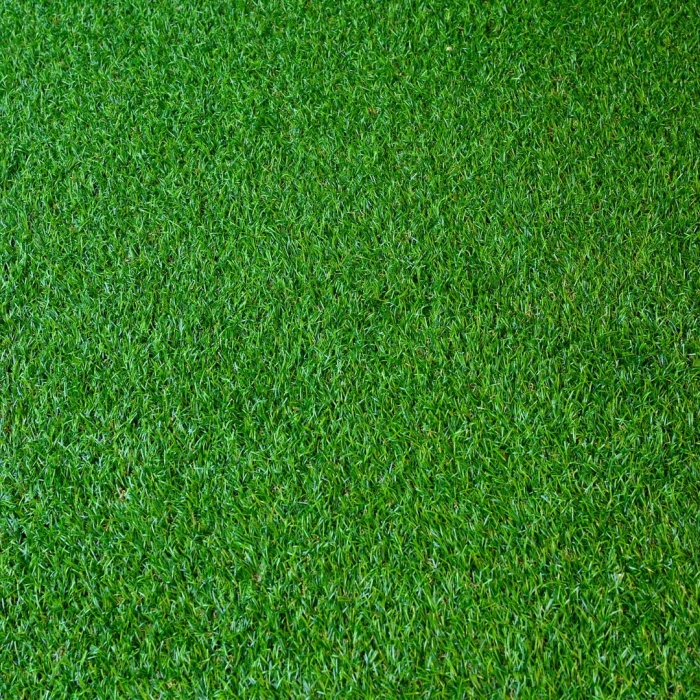 Овсяница тростниковая для газонов