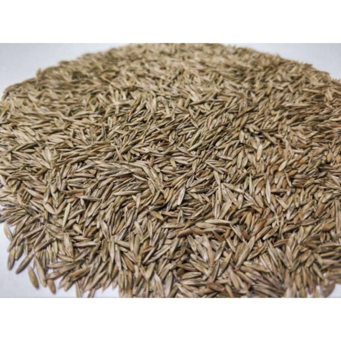 Семена мятлика лугового