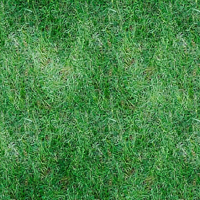 Текстура трава