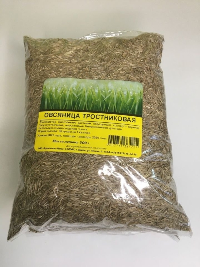 Овсяница луговая 5кг садовита