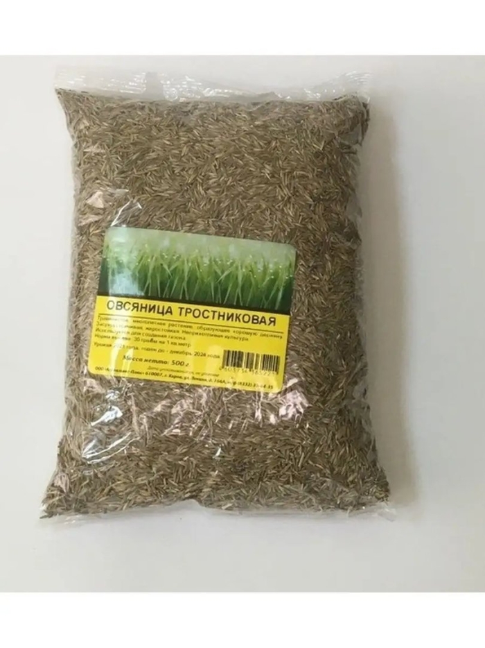Овсяница тростниковая для газонов