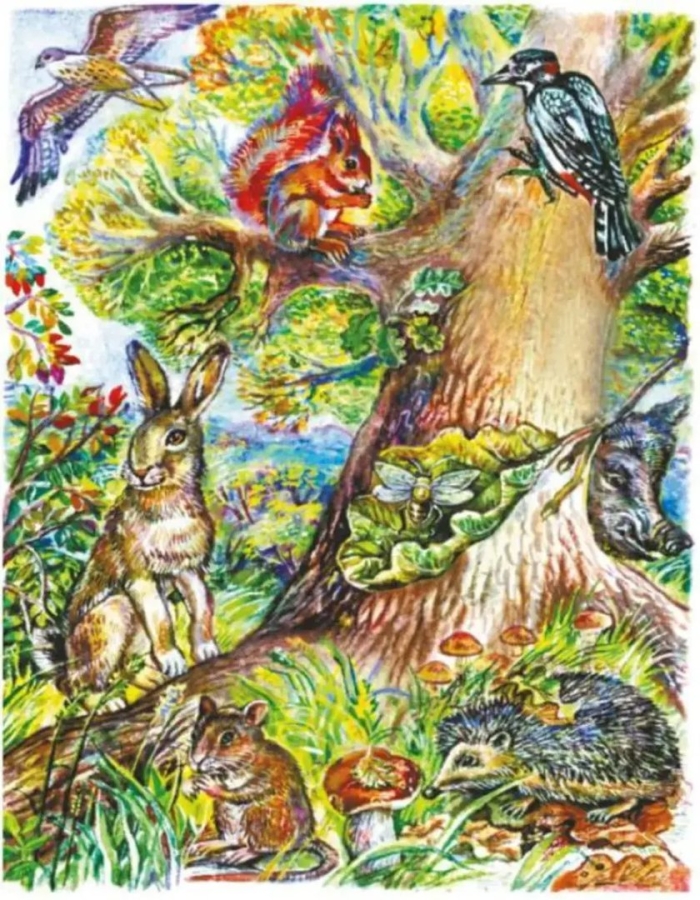 Николай сладков лесные сказки