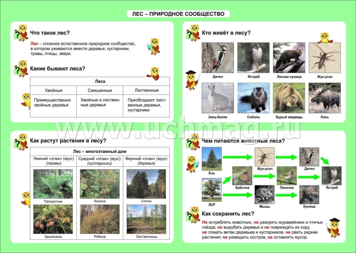 Природное сообщество окружающий мир