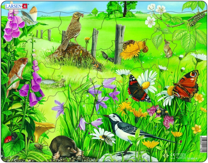 Пазлы для детей природа