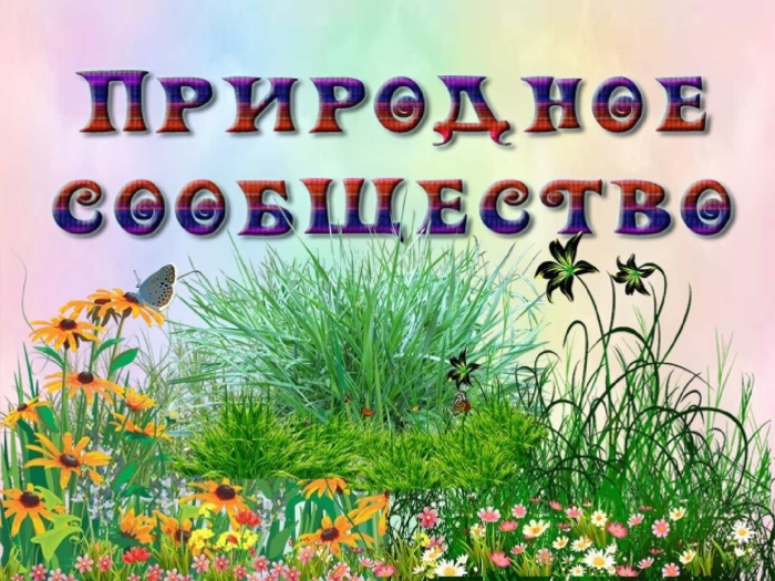 Природное сообщество 3 класс окружающий мир