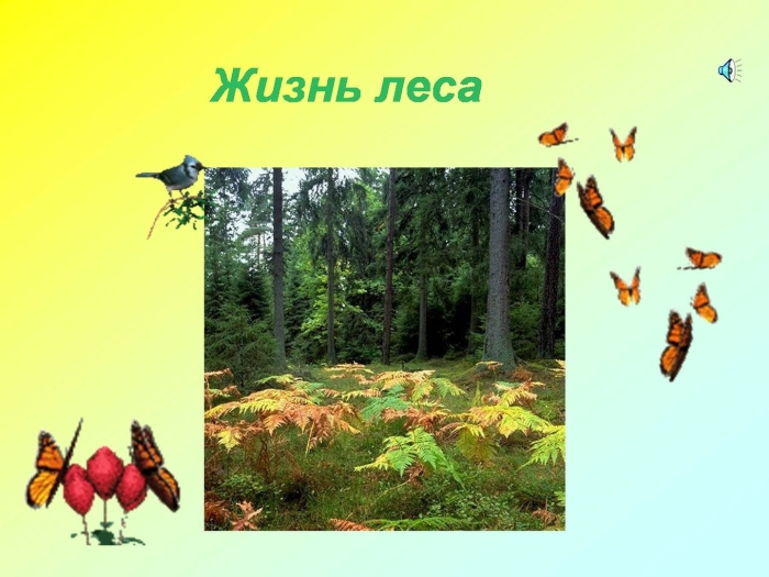 Жизнь леса 4 класс окружающий мир