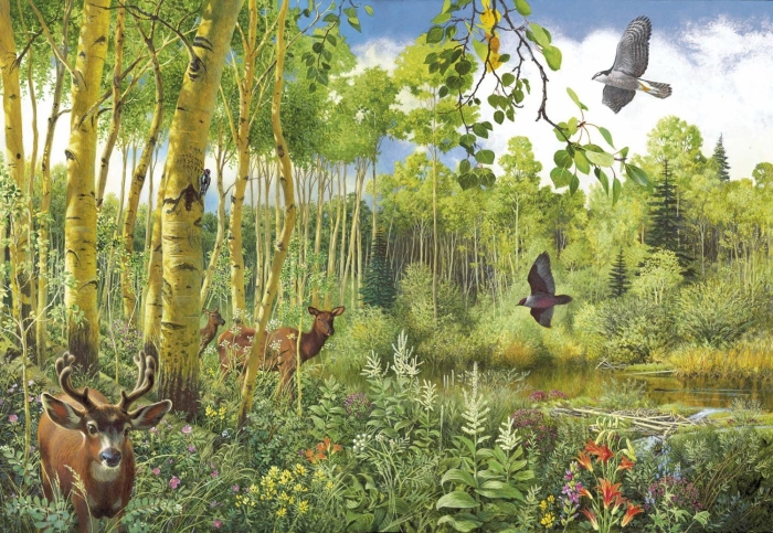 Экосистема леса для детей