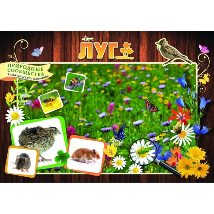 Природное сообщество