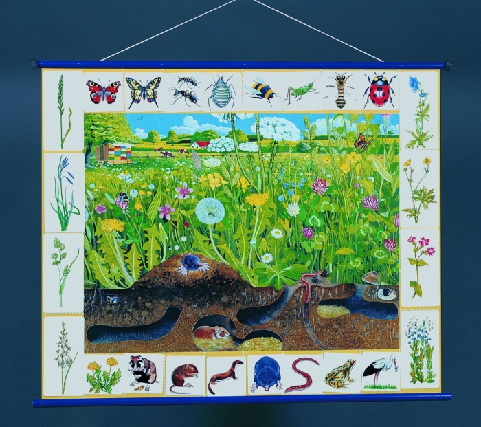 Магнитный плакат  природное сообщество водоема