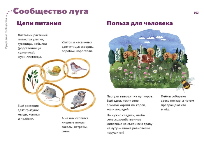 Цепь питания жизнь луга 4 класс окружающий мир