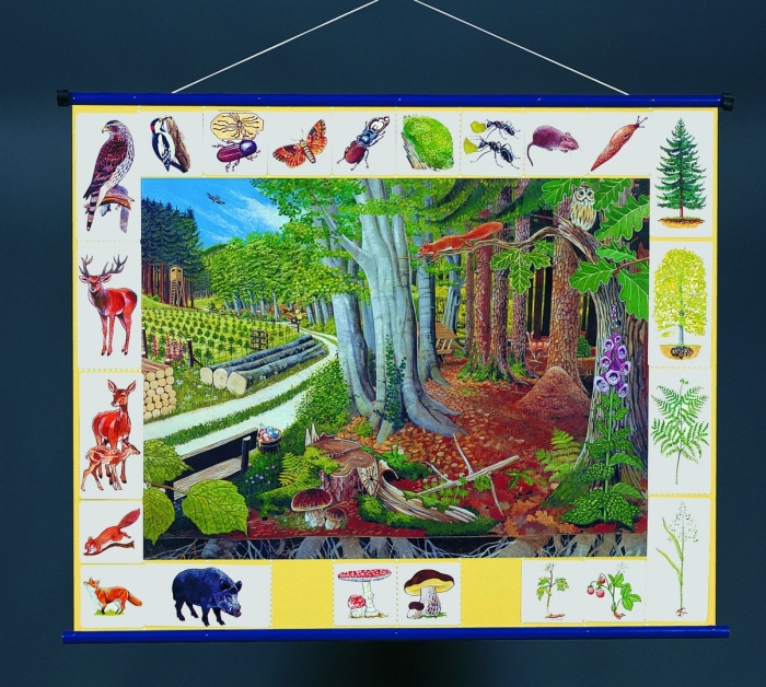 Обитатели природных сообществ луга