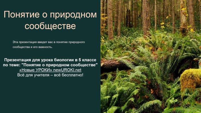 Понятие о природном сообществе 5 класс биология