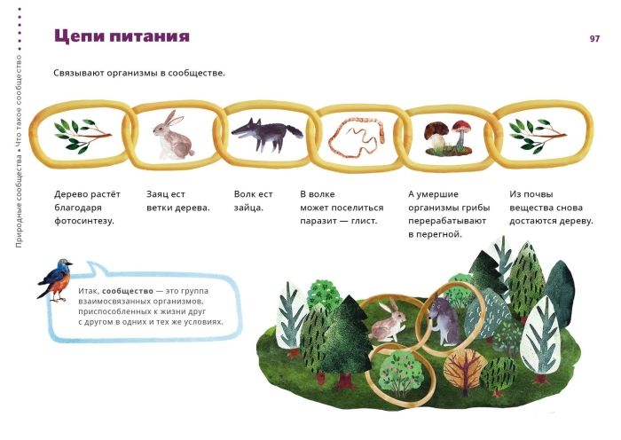 Цепи питания окружающий мир 3 класс