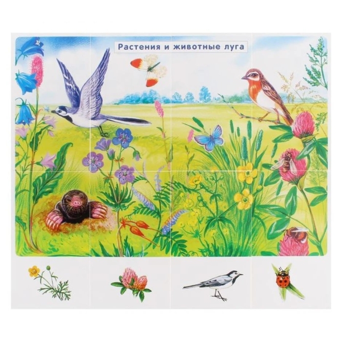 Животные луга