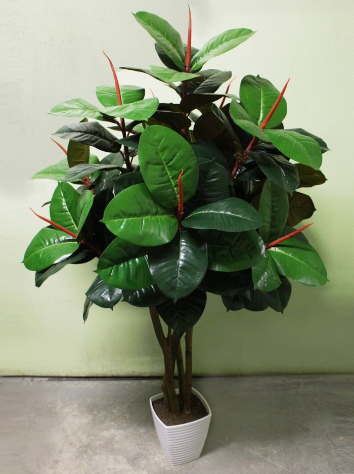 Фикус эластика искусственный