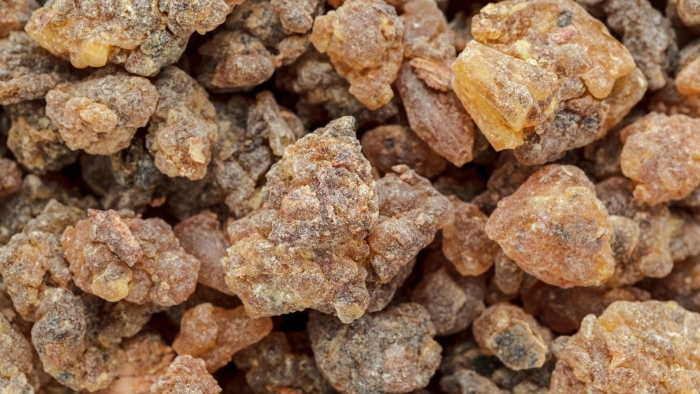 Коммифора мирра