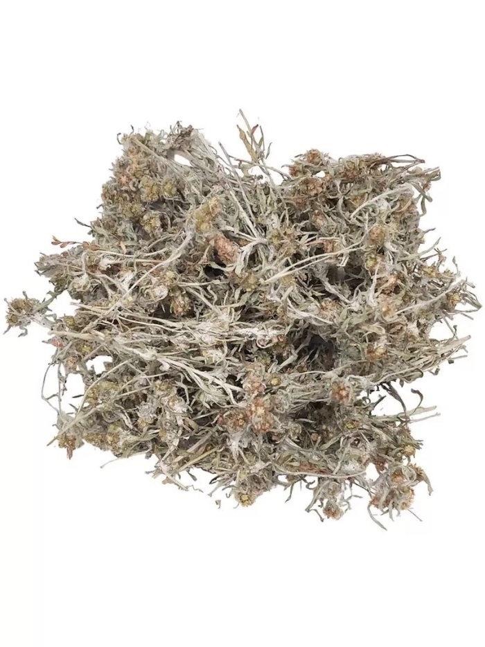 Трава сушеницы топяной