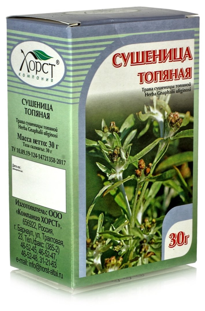Сушеница топяная