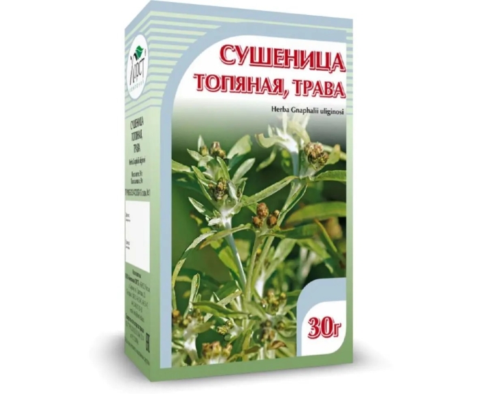 Трава сушеницы топяной - herba gnaphalii uliginosi