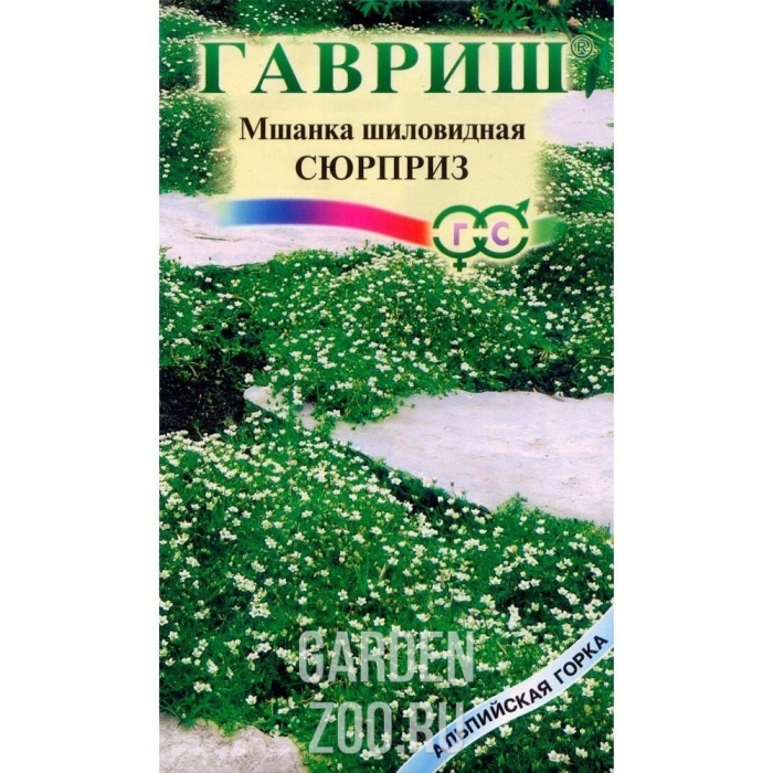 Мшанка шилолистная сюрприз