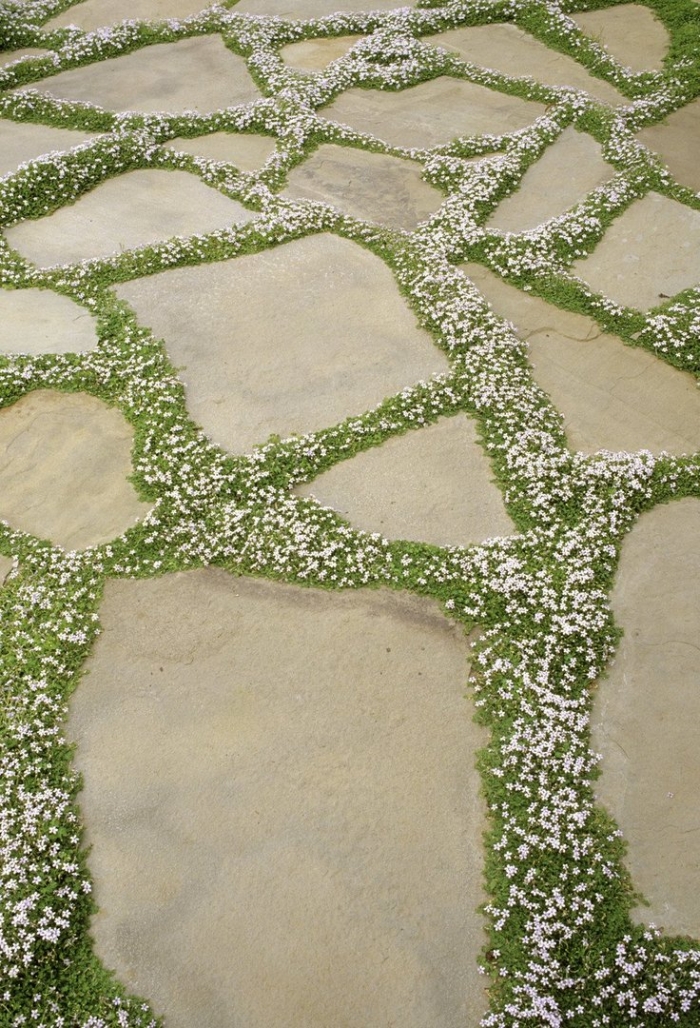 Садовая дорожка